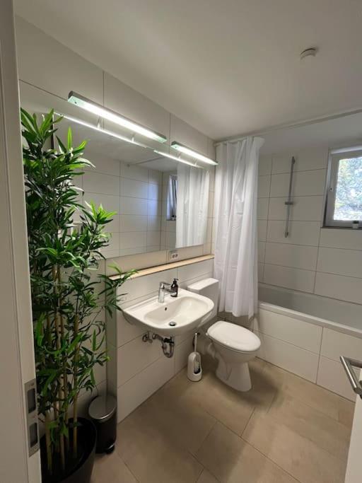 City Appartement Direkt Am Schloss! Karlsruhe Luaran gambar