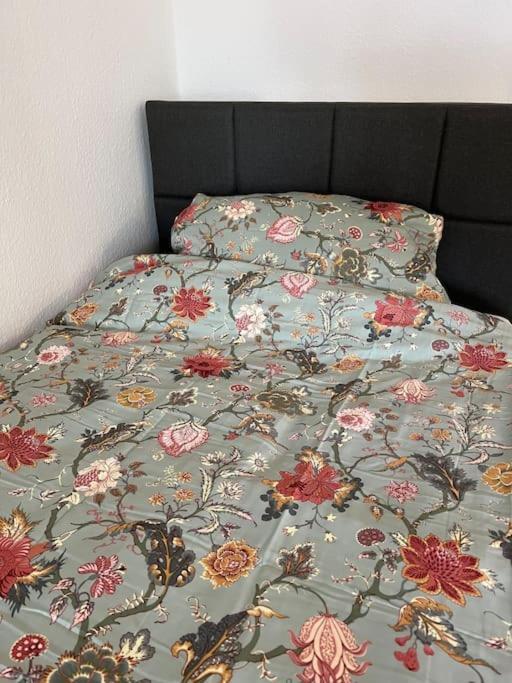 City Appartement Direkt Am Schloss! Karlsruhe Luaran gambar