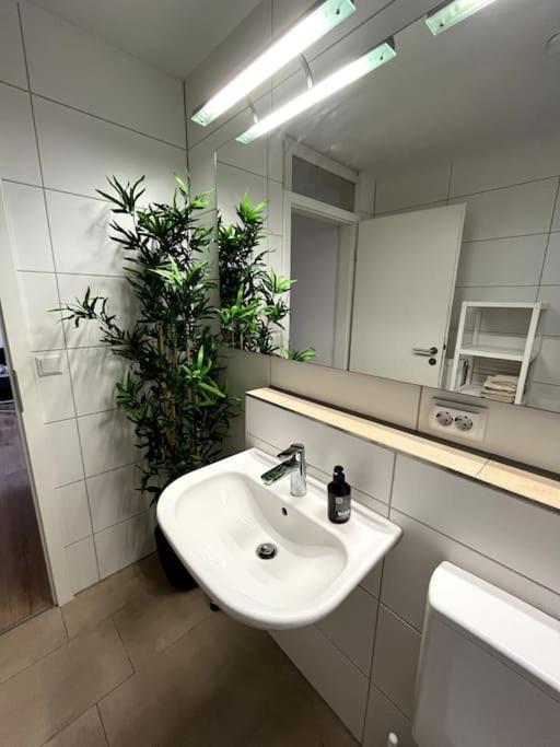 City Appartement Direkt Am Schloss! Karlsruhe Luaran gambar