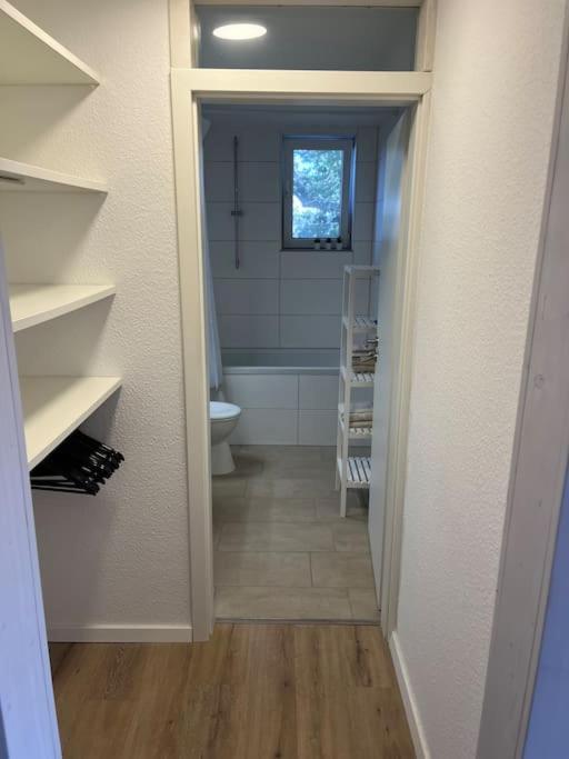 City Appartement Direkt Am Schloss! Karlsruhe Luaran gambar